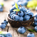 Heidelbeere (Vaccinium myrtillus) Heidelbeere (Vaccinium myrtillus)