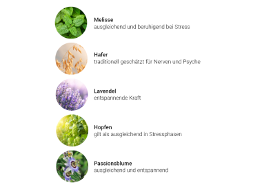 Alpensegen Seelenbalsam (50 ml) - Kräuter