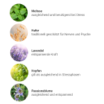 Alpensegen Seelenbalsam (50 ml) - Kräuter Alpensegen Seelenbalsam (50 ml) - Kräuter