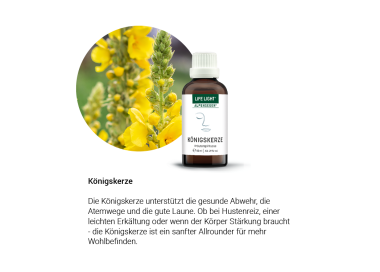 Alpensegen Königskerze (50 ml) - Kräuter