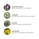 Impuls Lymphe + Haut Kräuterkomplex, 50 ml - Kräuter Impuls Lymphe + Haut Kräuterkomplex, 50 ml - Kräuter