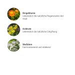 Impuls Lymphe + Haut Kräuterkomplex, 50 ml - Kräuter Impuls Lymphe + Haut Kräuterkomplex, 50 ml - Kräuter