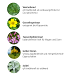 Goldene Mitte Kräuterkomplex, 50 ml - Kräuter Goldene Mitte Kräuterkomplex, 50 ml - Kräuter