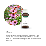 Alpensegen Echinacea (50 ml) Alpensegen Echinacea (50 ml)