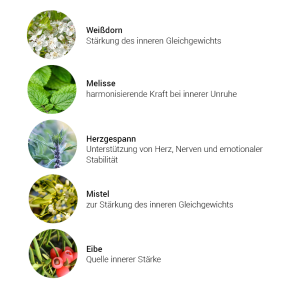 Alpensegen Vitalität Kräuterkomplex (50 ml)