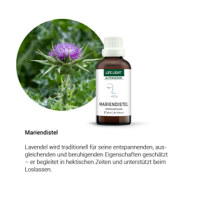 Alpensegen Mariendistel (50 ml)