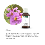 Alpensegen Zistrose (50 ml)