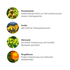 Leichtigkeit Kräuterkomplex (50 ml)