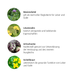 Alpensegen Impuls Leber + Galle + Darm Kräuterkomplex (50 ml)