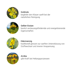 Alpensegen Impuls Leber + Galle + Darm Kräuterkomplex (50 ml)