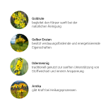 Alpensegen Impuls Leber + Galle + Darm Kräuterkomplex (50 ml)