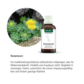 Alpensegen Rosenwurz