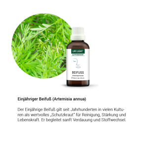 Alpensegen Einjähriger Beifuß (50 ml)