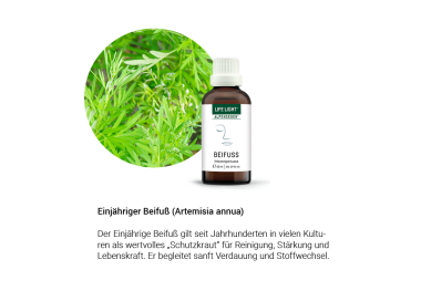 Alpensegen Einjähriger Beifuß (50 ml)