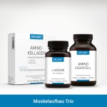 Set zur optimalen Versorgung