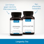 Set für Longevity