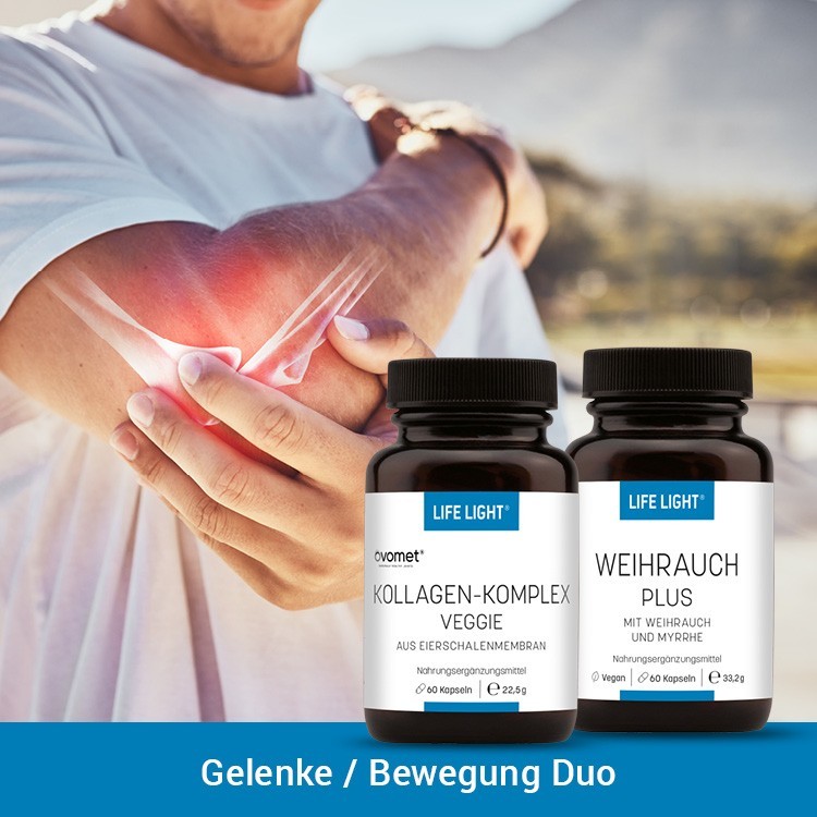 Gelenke/Bewegungs-Duo