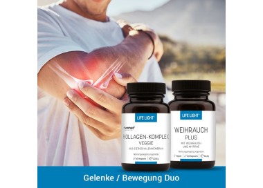 Gelenke/Bewegungs-Duo