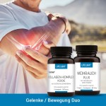 Gelenke/Bewegungs-Duo