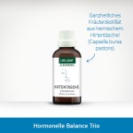 Set zur hormonellen Balance