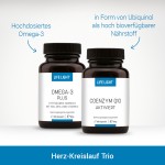 Set für Herz & Kreislauf