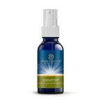 Licht-Quanten Essenz Identität (grün)