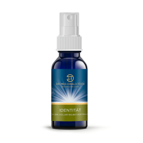 Licht-Quanten Essenzen Kombi - Identität