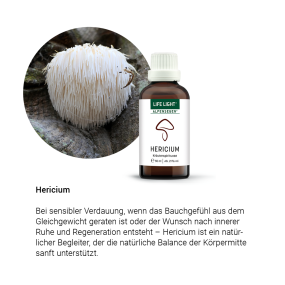 Alpensegen Hericium