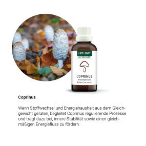 Alpensegen Coprinus