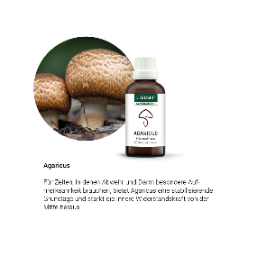 Alpensegen Agaricus (50 ml)