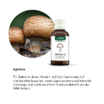 Alpensegen Agaricus (50 ml)