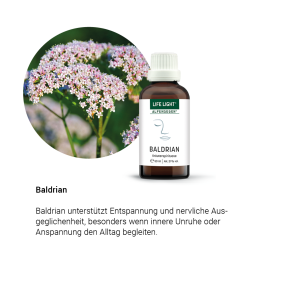 Alpensegen Baldrian (50 ml)