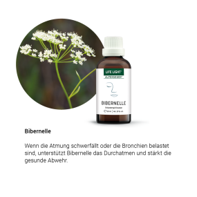Alpensegen Bibernelle (50 ml)