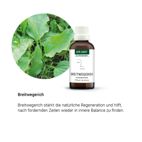 Alpensegen Breitwegerich (50 ml)