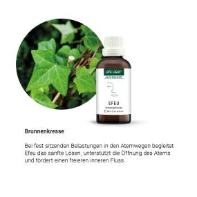 Alpensegen Efeu (50 ml)