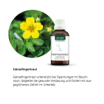 Alpensegen Gänsefingerkraut (50 ml)