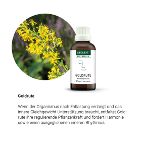 Alpensegen Goldrute (50 ml)