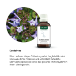 Alpensegen Gundelrebe (50 ml)