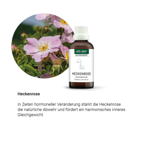 Alpensegen Heckenrose (50 ml)