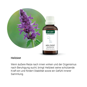 Alpensegen Heilziest (50 ml)