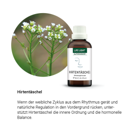 Alpensegen Hirtentäschel