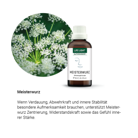 Alpensegen Meisterwurz (50 ml)