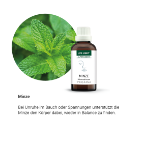 Alpensegen Minze (50 ml)