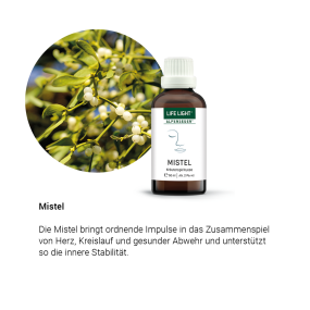 Alpensegen Mistel (50 ml)