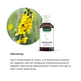 Alpensegen Odermennig