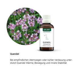 Alpensegen Quendel (50 ml)