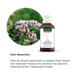 Alpensegen Roter Wasserhanf (50 ml)