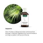 Alpensegen Sägepalme (50 ml)