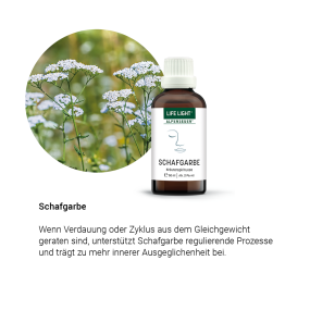 Alpensegen Schafgarbe