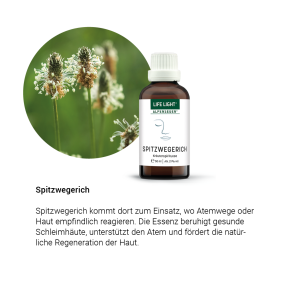 Alpensegen Spitzwegerich (50 ml)